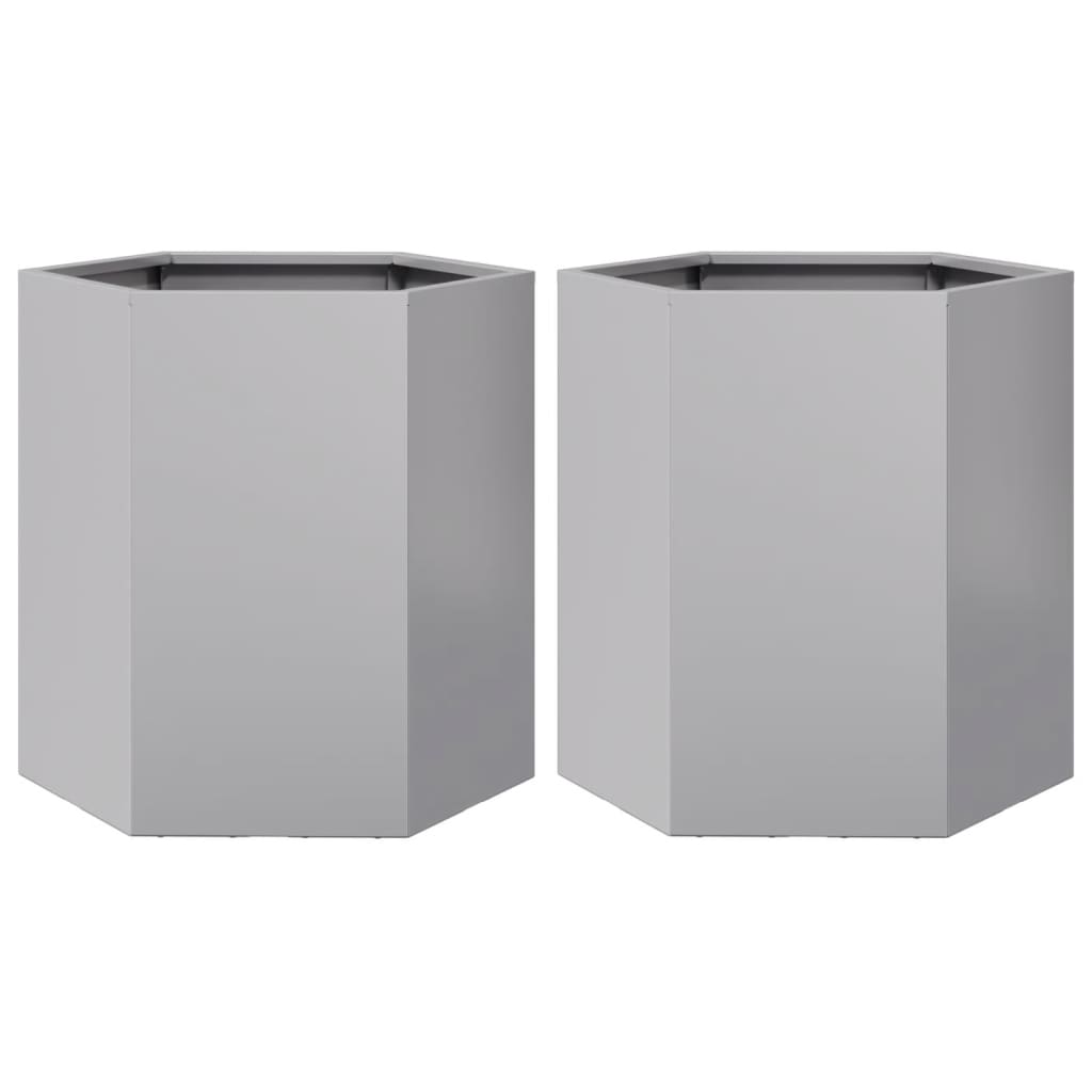 Plantenbakken 2 st zeshoek 46x40x45 cm gegalvaniseerd staal is nu te koop bij PeponiXL, paradijselijk wonen!