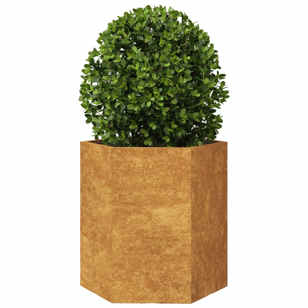 Plantenbakken 2 st zeshoek 46x40x45 cm weervast staal is nu te koop bij PeponiXL, paradijselijk wonen!