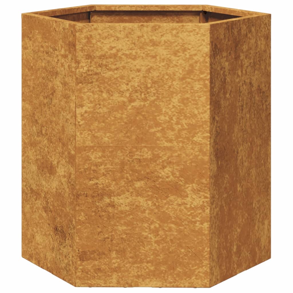 Plantenbakken 2 st zeshoek 46x40x45 cm weervast staal is nu te koop bij PeponiXL, paradijselijk wonen!