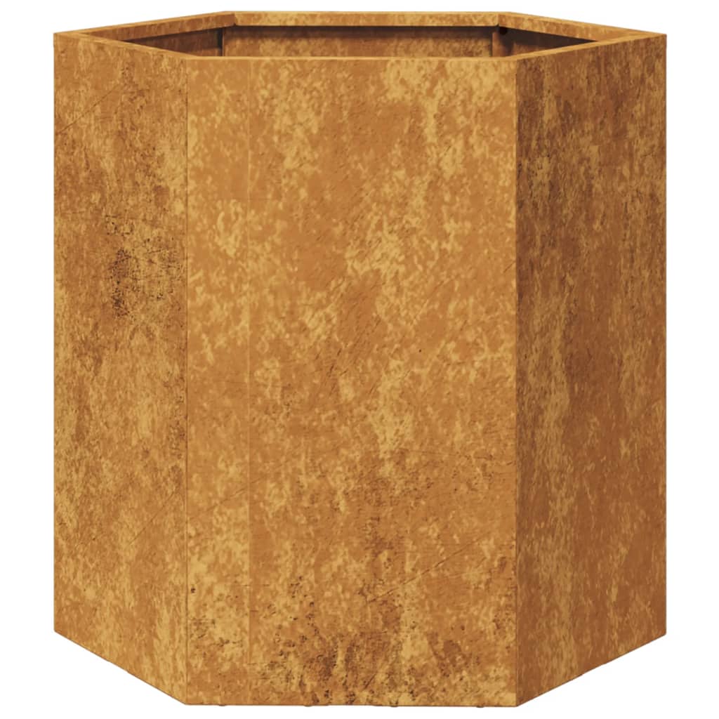 Plantenbakken 2 st zeshoek 46x40x45 cm weervast staal is nu te koop bij PeponiXL, paradijselijk wonen!