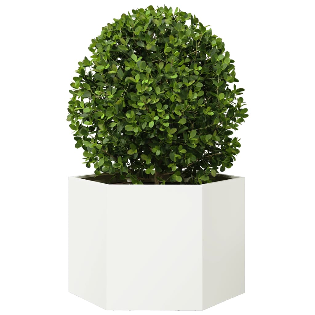 Plantenbak zeshoek 69x60x45 cm staal wit is nu te koop bij PeponiXL, paradijselijk wonen!