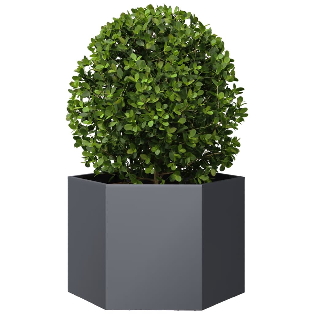 Plantenbak zeshoek 69x60x45 cm staal antracietkleurig is nu te koop bij PeponiXL, paradijselijk wonen!