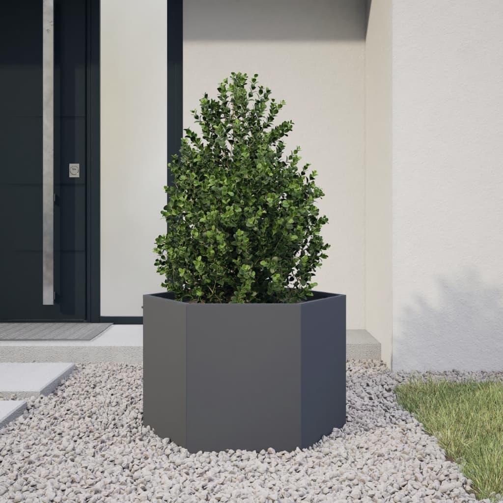 Plantenbak zeshoek 69x60x45 cm staal antracietkleurig is nu te koop bij PeponiXL, paradijselijk wonen!