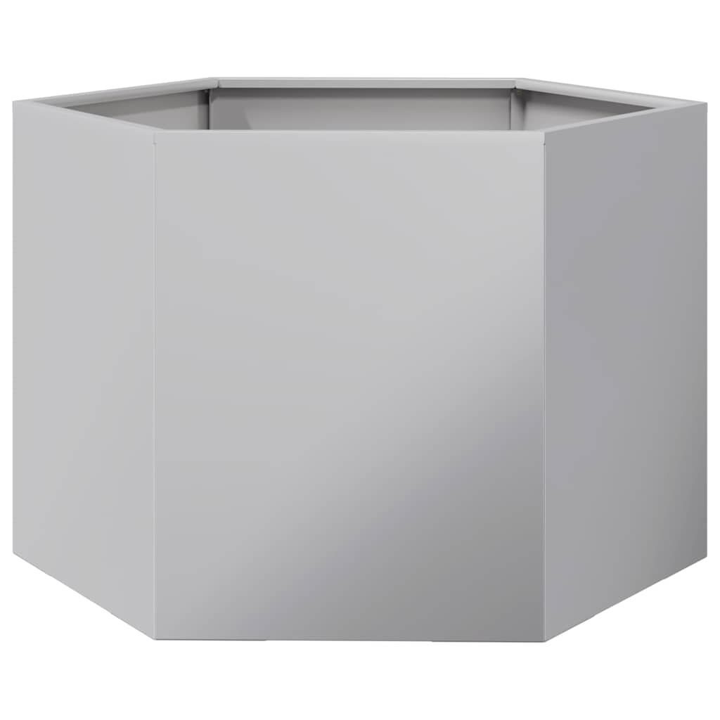 Plantenbak zeshoek 69x60x45 cm gegalvaniseerd staal is nu te koop bij PeponiXL, paradijselijk wonen!