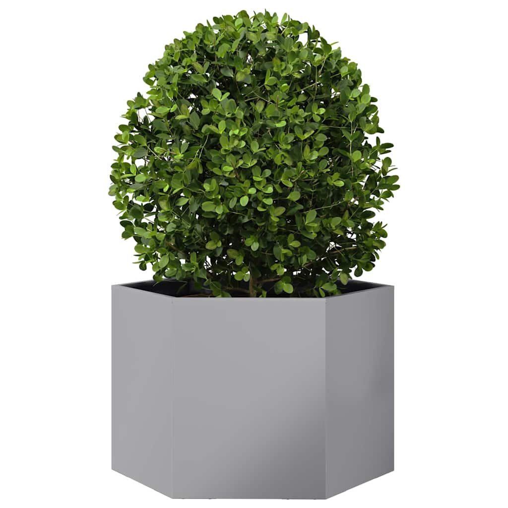 Plantenbak zeshoek 69x60x45 cm gegalvaniseerd staal is nu te koop bij PeponiXL, paradijselijk wonen!