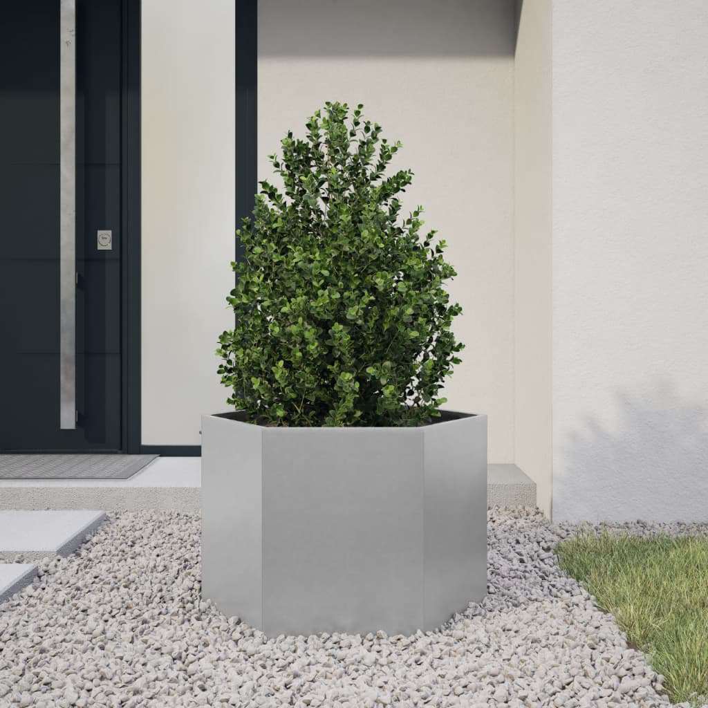 Plantenbak zeshoek 69x60x45 cm gegalvaniseerd staal is nu te koop bij PeponiXL, paradijselijk wonen!