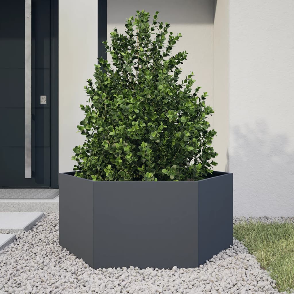 Plantenbak zeshoek 104x90x45 cm staal antracietkleurig is nu te koop bij PeponiXL, paradijselijk wonen!