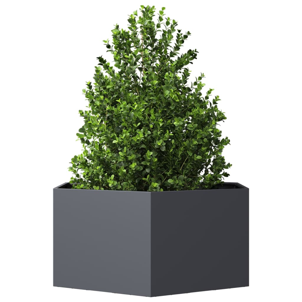 Plantenbak zeshoek 104x90x45 cm staal antracietkleurig is nu te koop bij PeponiXL, paradijselijk wonen!
