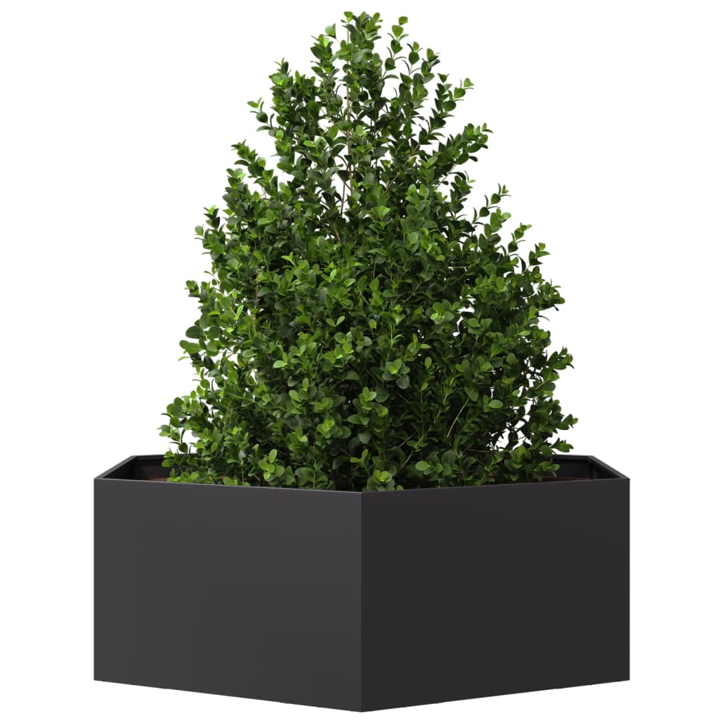 Plantenbak zeshoek 138x120x45 cm staal zwart is nu te koop bij PeponiXL, paradijselijk wonen!