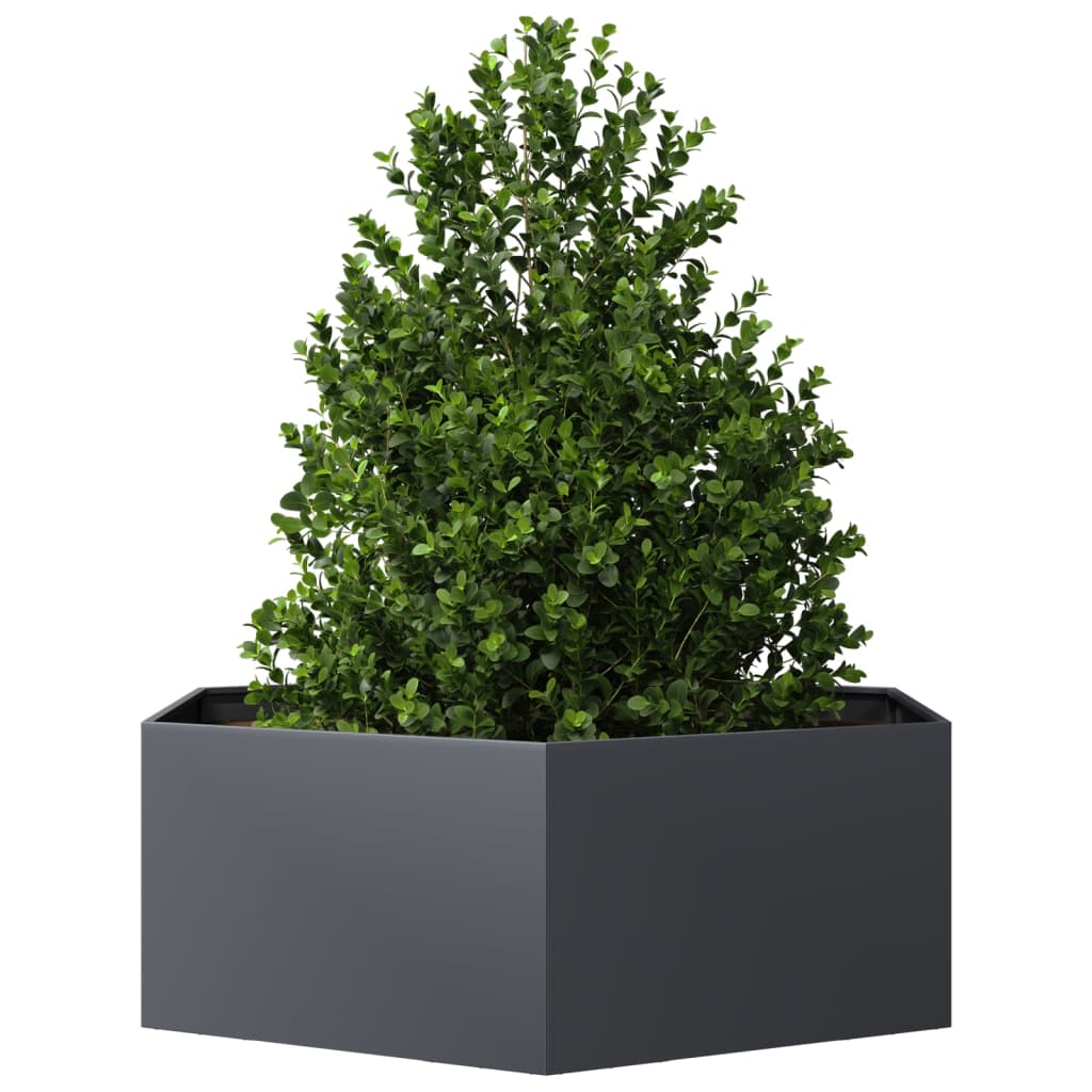 Plantenbak zeshoek 138x120x45 cm staal antracietkleurig is nu te koop bij PeponiXL, paradijselijk wonen!