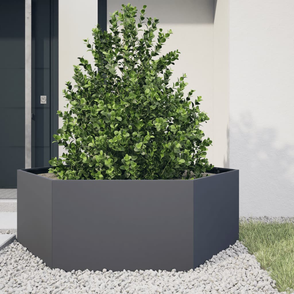 Plantenbak zeshoek 138x120x45 cm staal antracietkleurig is nu te koop bij PeponiXL, paradijselijk wonen!