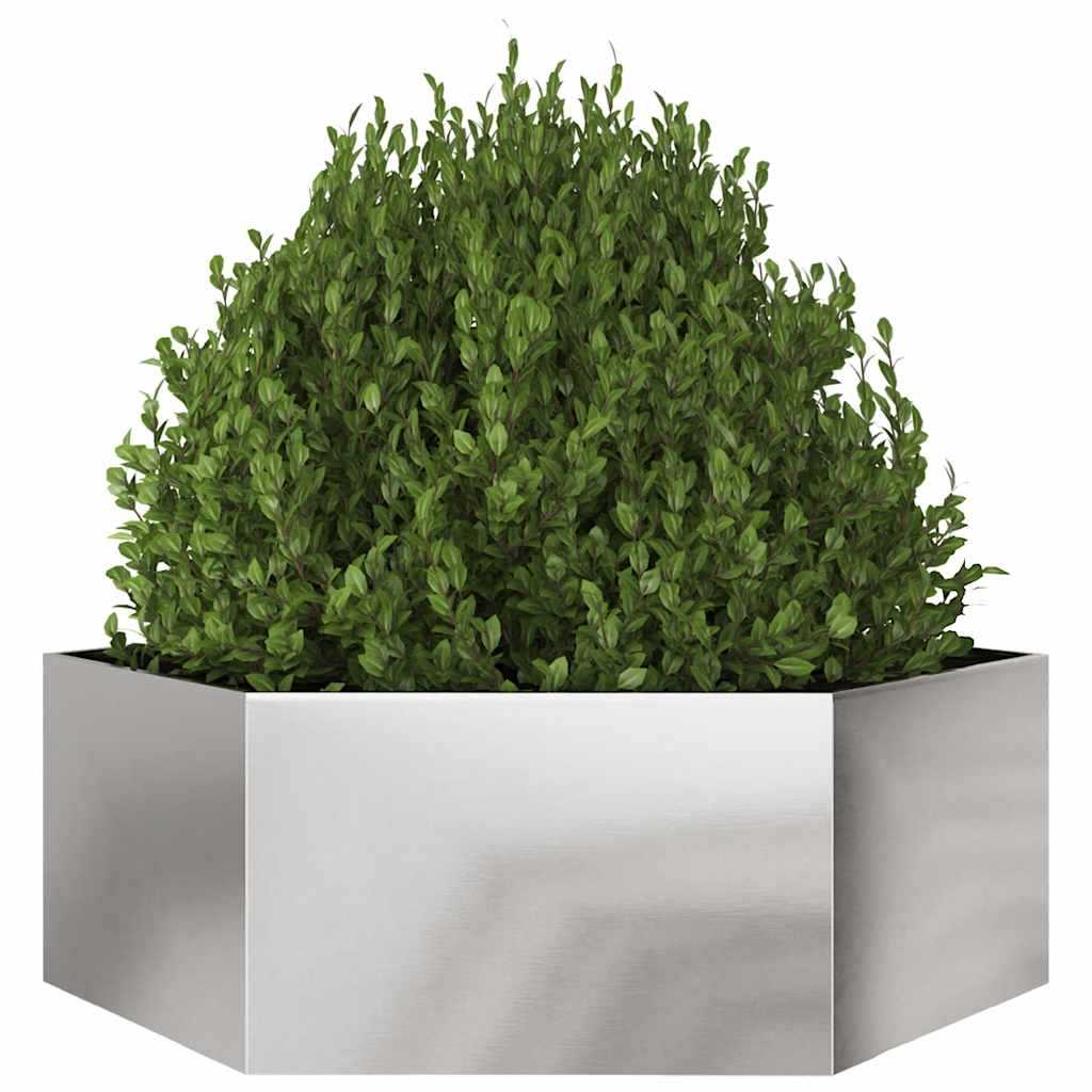 Plantenbak zeshoek 138x120x45 cm roestvrijstaal is nu te koop bij PeponiXL, paradijselijk wonen!