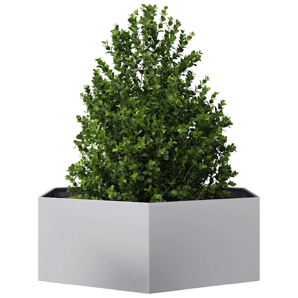Plantenbak zeshoek 138x120x45 cm gegalvaniseerd staal is nu te koop bij PeponiXL, paradijselijk wonen!