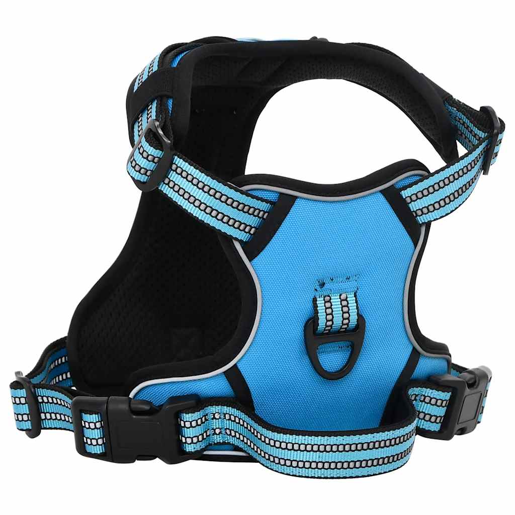 Hondentuigje met riem en halsband verstelbaar L blauw is nu te koop bij PeponiXL, paradijselijk wonen!
