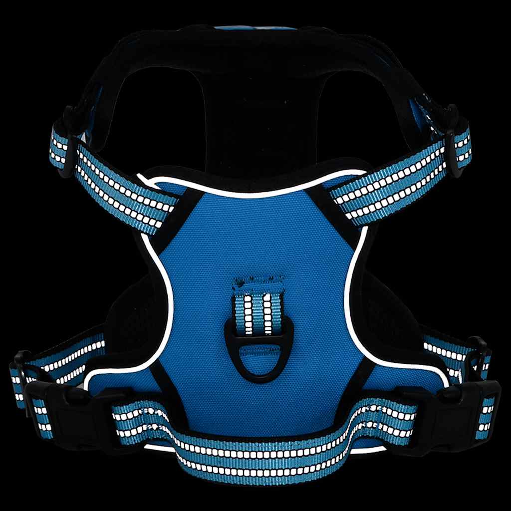 Hondentuigje met riem en halsband verstelbaar L blauw is nu te koop bij PeponiXL, paradijselijk wonen!