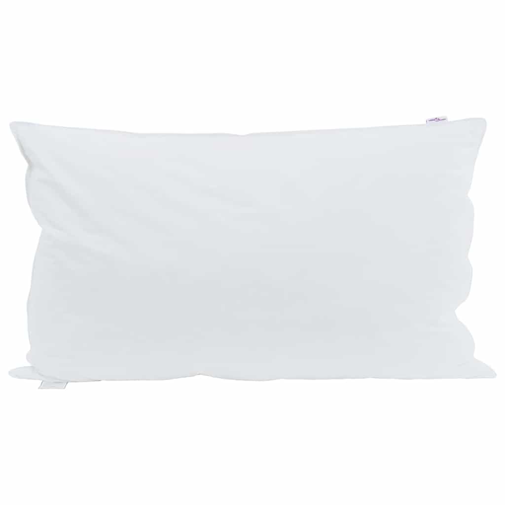 Hoofdkussen met kussen 2 pcs Wit 40 x 80 cm Veren is nu te koop bij PeponiXL, paradijselijk wonen!