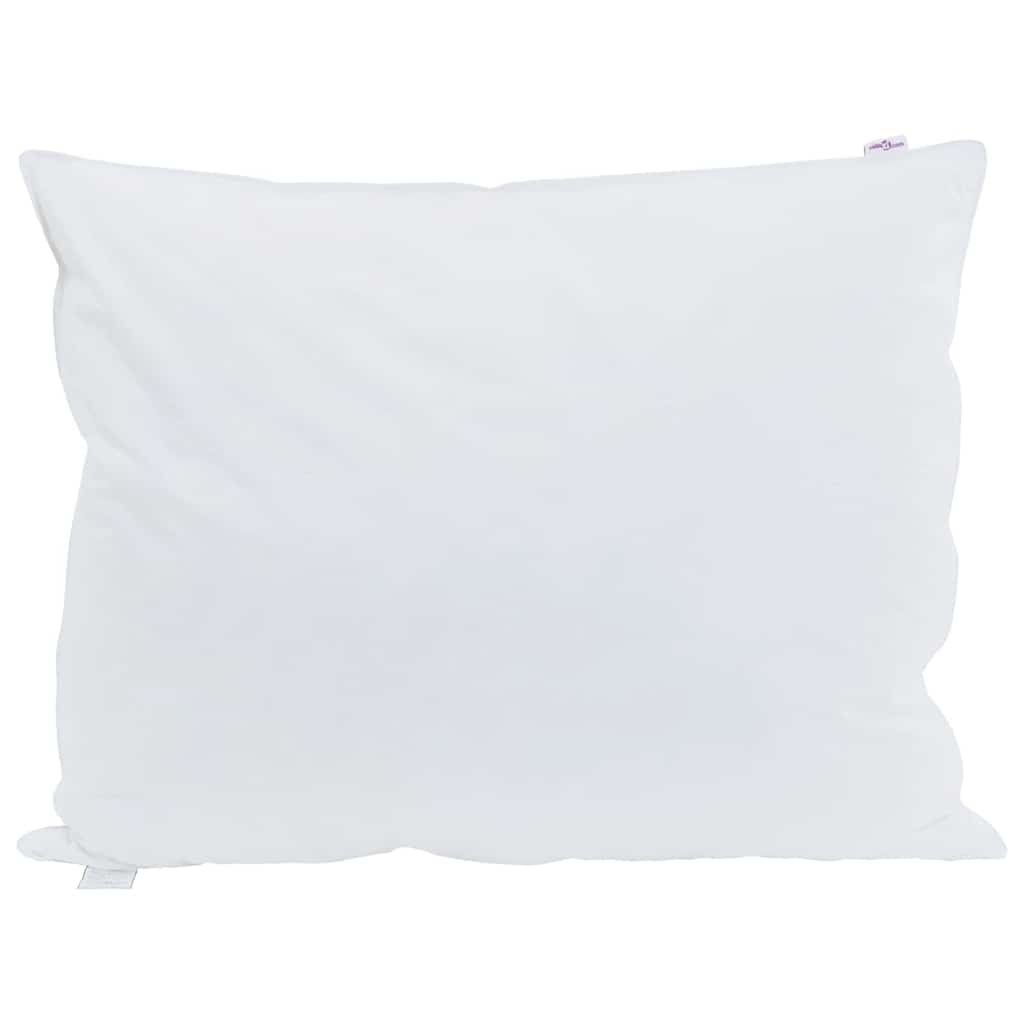 Hoofdkussen met kussen 2 pcs Wit 50 x 75 cm Veren is nu te koop bij PeponiXL, paradijselijk wonen!