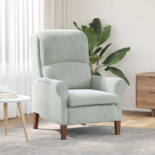 Fauteuil Lichtgrijs Fluweel is nu te koop bij PeponiXL, paradijselijk wonen!