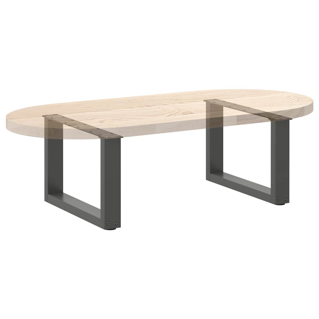 Salontafelpoten 2 st U-vormig 50x(30-31) cm staal antraciet is nu te koop bij PeponiXL, paradijselijk wonen!