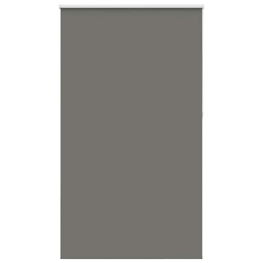 Rolgordijn verduisterend 120x210 cm stofbreedte 116,6 cm grijs is nu te koop bij PeponiXL, paradijselijk wonen!