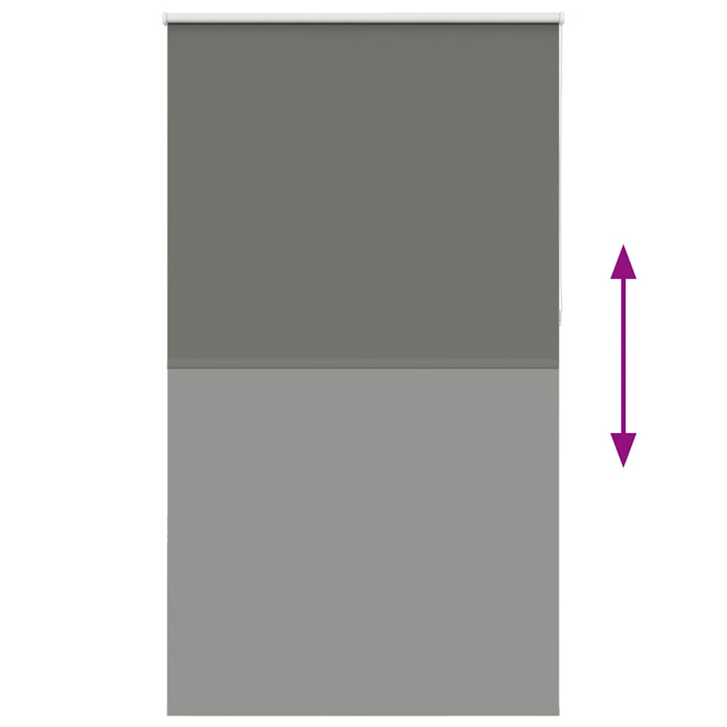 Rolgordijn verduisterend 120x210 cm stofbreedte 116,6 cm grijs is nu te koop bij PeponiXL, paradijselijk wonen!