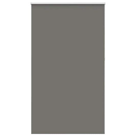 Rolgordijn verduisterend 125x210 cm stofbreedte 121,6 cm grijs is nu te koop bij PeponiXL, paradijselijk wonen!