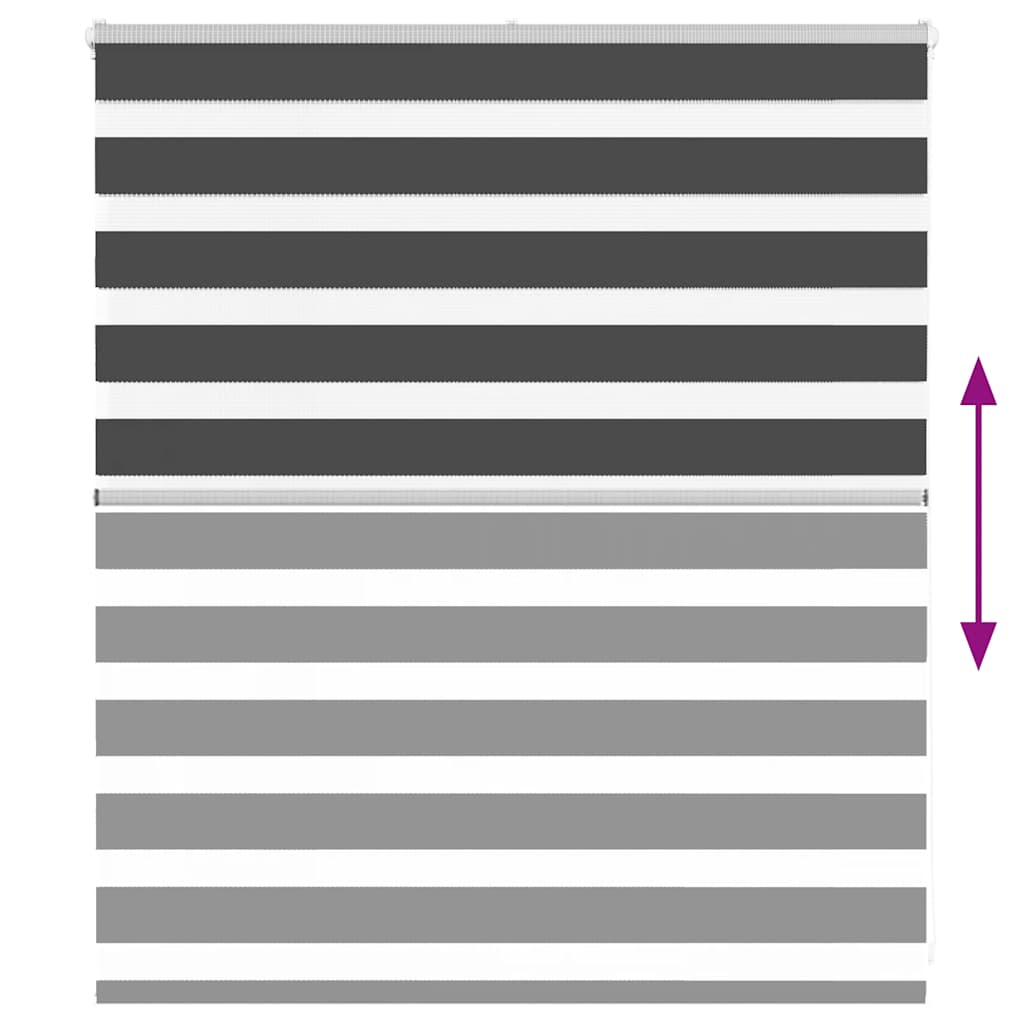 Zebra rolgordijn 120x100 cm stofbreedte 115,9 cm zwart is nu te koop bij PeponiXL, paradijselijk wonen!