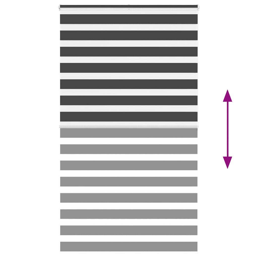 Zebra rolgordijn 120x200 cm stofbreedte 115,9 cm zwart is nu te koop bij PeponiXL, paradijselijk wonen!