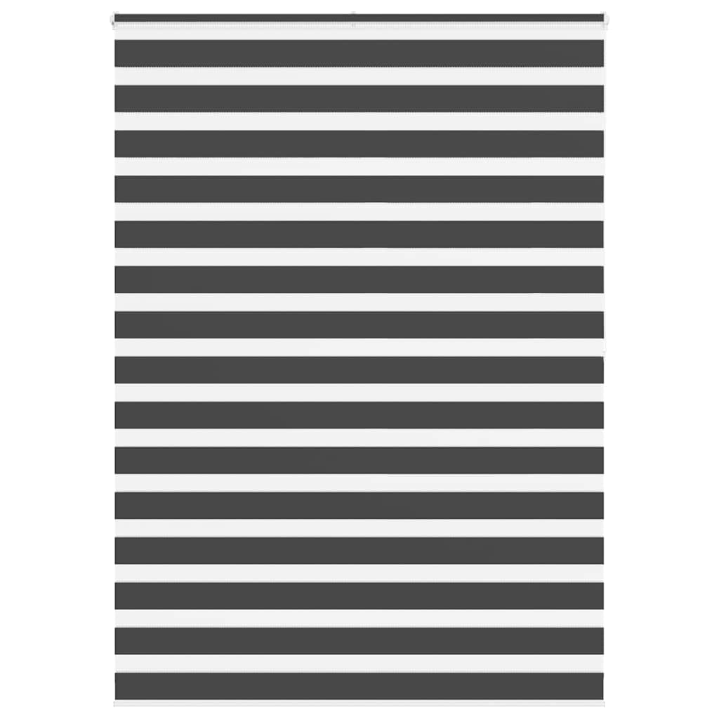 Zebra rolgordijn 155x200 cm stofbreedte 150,9 cm zwart is nu te koop bij PeponiXL, paradijselijk wonen!