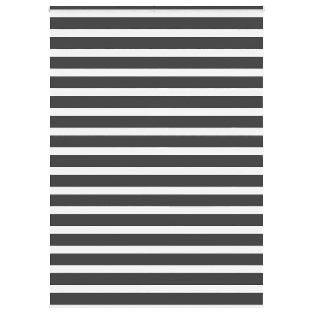 Zebra rolgordijn 160x200 cm stofbreedte 155,9 cm zwart is nu te koop bij PeponiXL, paradijselijk wonen!