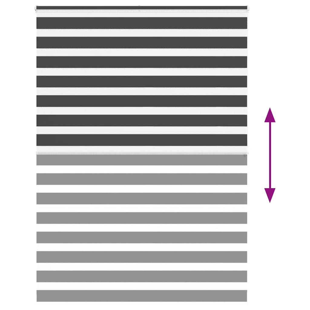 Zebra rolgordijn 160x200 cm stofbreedte 155,9 cm zwart is nu te koop bij PeponiXL, paradijselijk wonen!