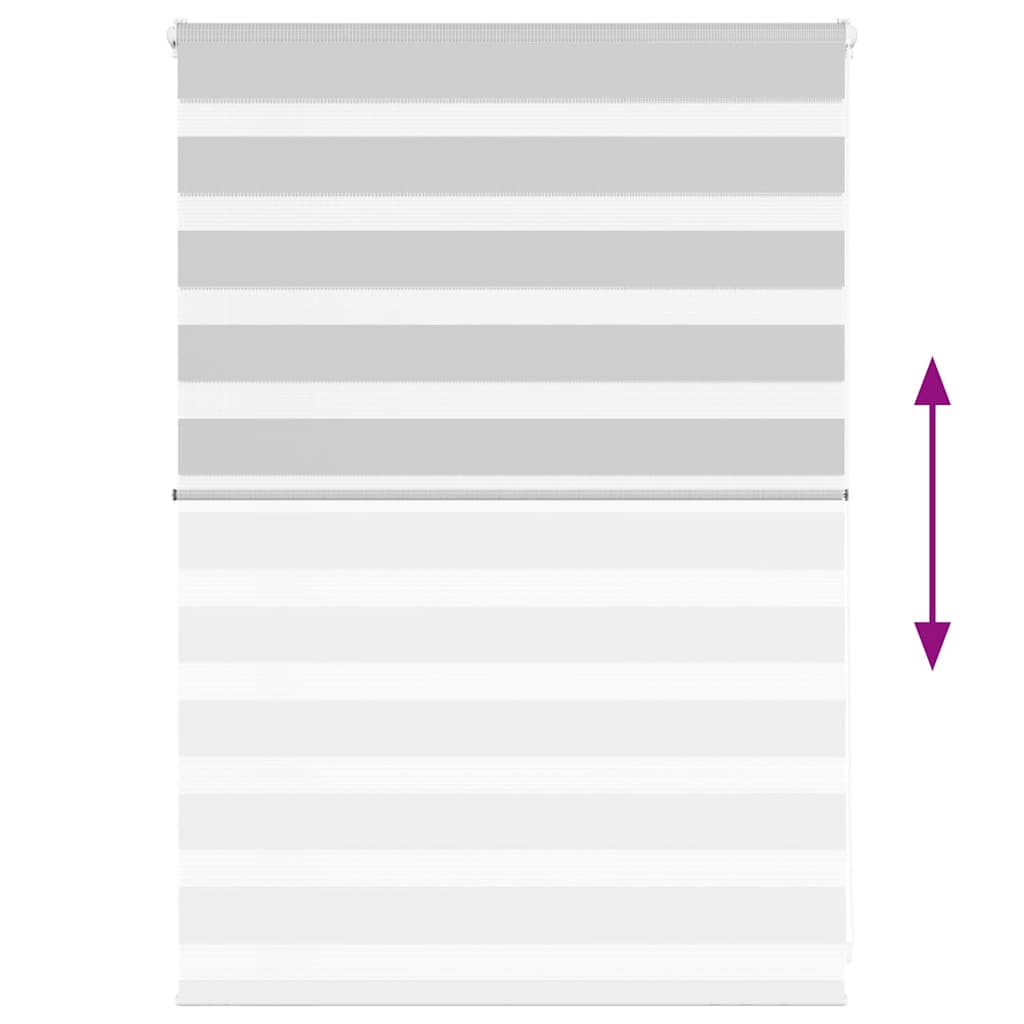 Zebra rolgordijn 100x100 cm stofbreedte 95,9 cm lichtgrijs is nu te koop bij PeponiXL, paradijselijk wonen!
