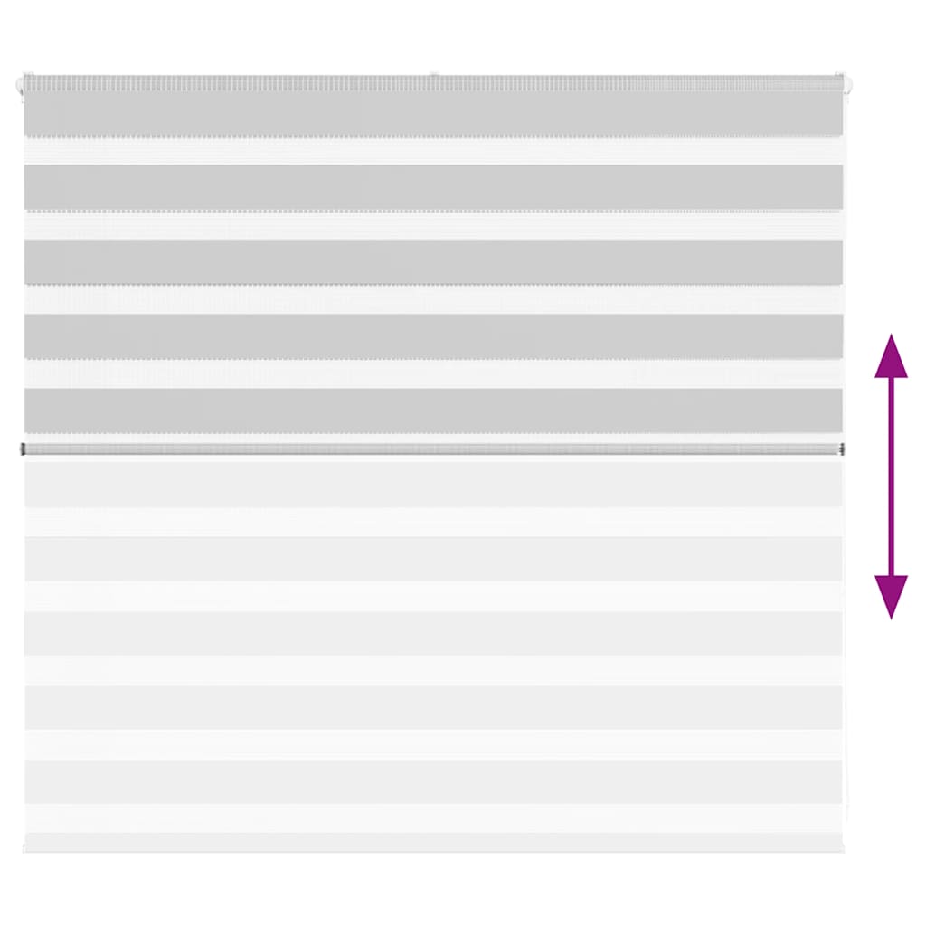 Zebra rolgordijn 160x100 cm stofbreedte 155,9 cm lichtgrijs is nu te koop bij PeponiXL, paradijselijk wonen!