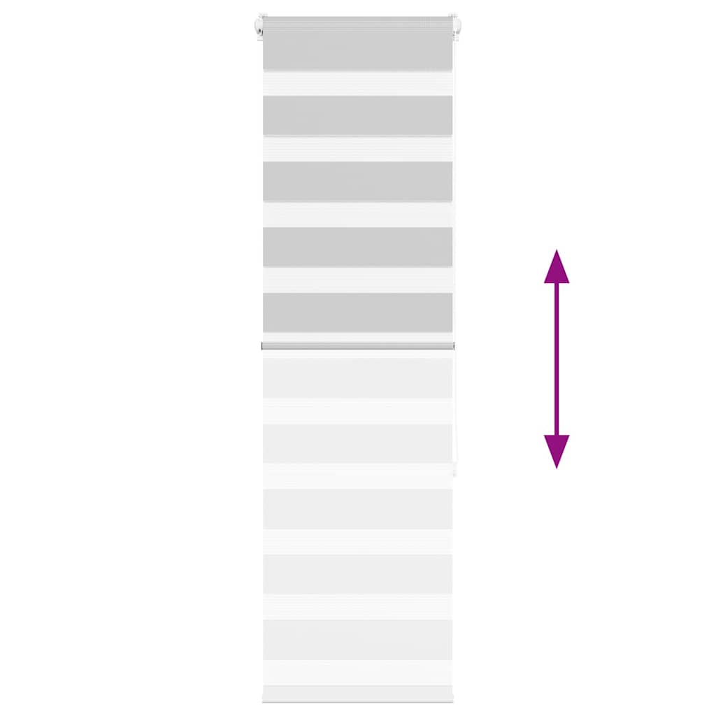 Zebra rolgordijn 40x150 cm stofbreedte 35,9 cm lichtgrijs is nu te koop bij PeponiXL, paradijselijk wonen!