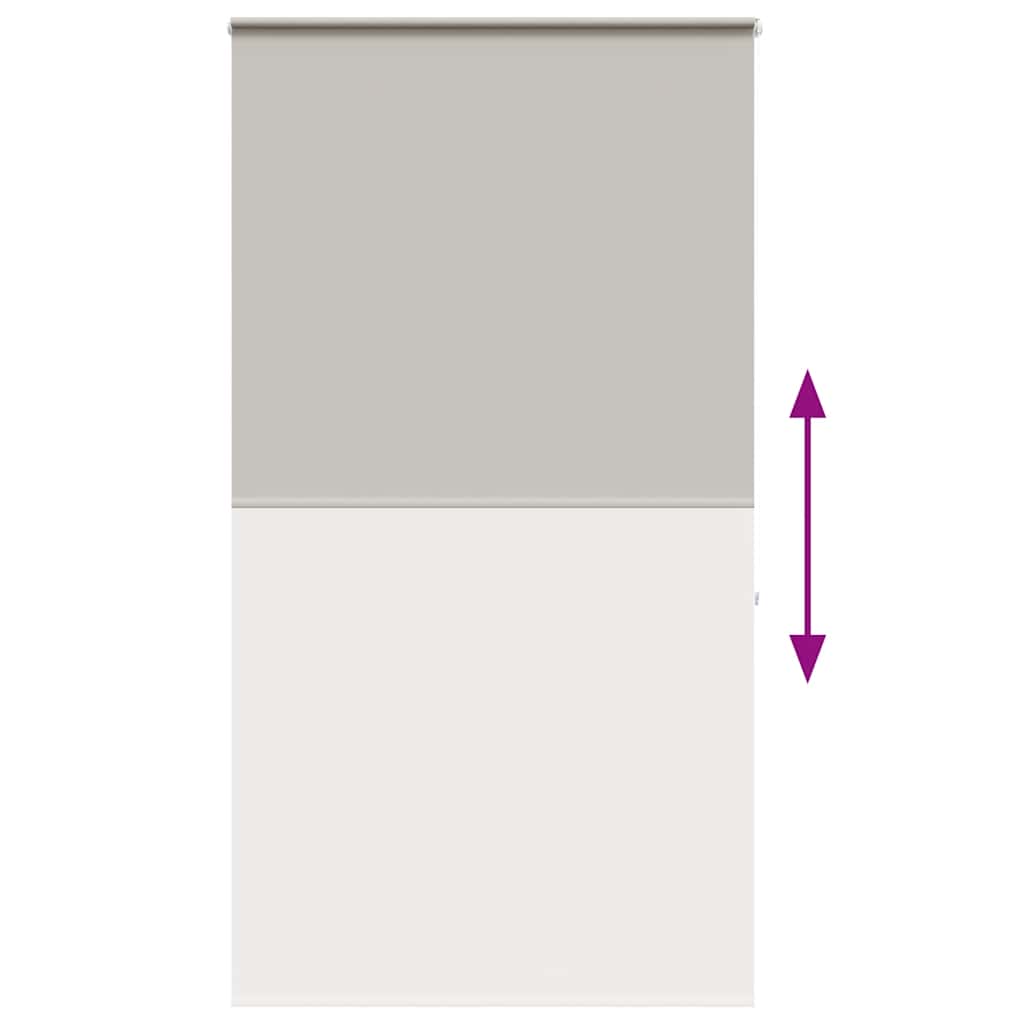 Doucherolgordijn met cassette 130x240 cm stofbreedte 126 cm is nu te koop bij PeponiXL, paradijselijk wonen!