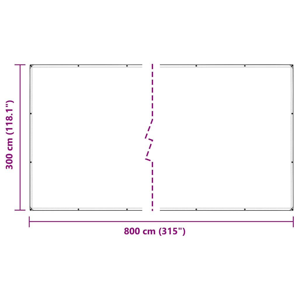 Doorzichtig zeildoek met zeilringen 3x8 m polyethyleen is nu te koop bij PeponiXL, paradijselijk wonen!