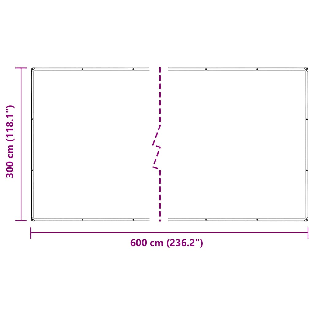 Doorzichtig zeildoek met zeilringen 3x6 m PVC is nu te koop bij PeponiXL, paradijselijk wonen!