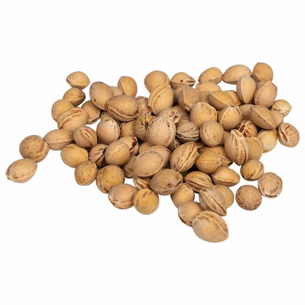 Kersenpitten voor warmtekussen 5 kg is nu te koop bij PeponiXL, paradijselijk wonen!