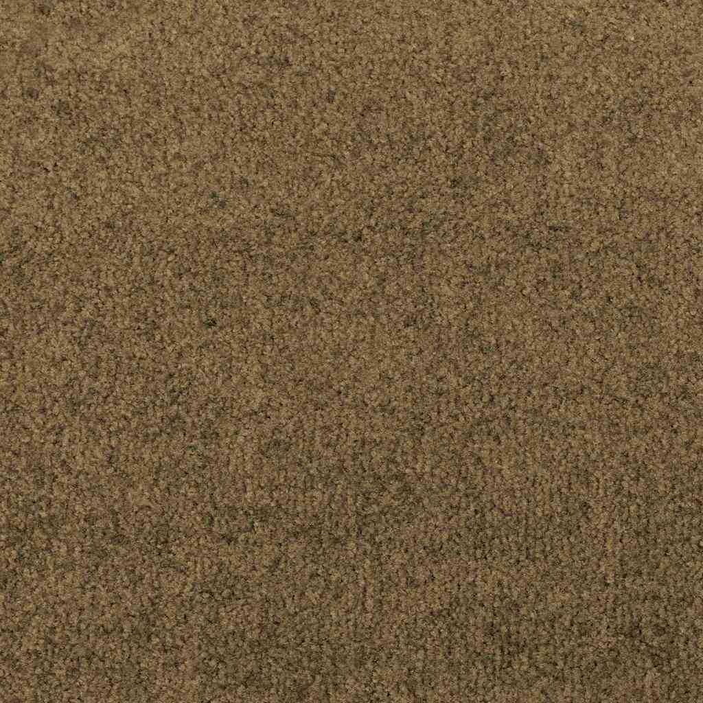 Deurmat Bruin en zwart 120 x 250 cm 100% Polyamide is nu te koop bij PeponiXL, paradijselijk wonen!