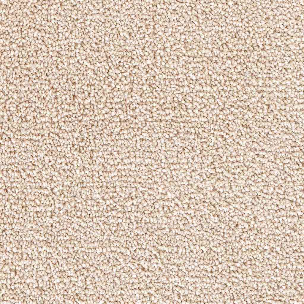 Antislip Trapmatten Rechthoekig 15 pcs Crème 75 x 20 cm PP is nu te koop bij PeponiXL, paradijselijk wonen!