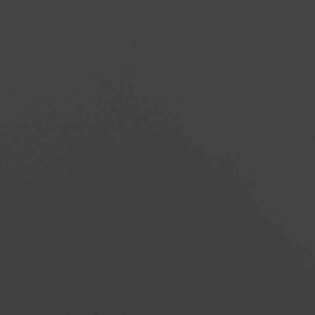 Plantenbak 120x80x40 cm staal zwart is nu te koop bij PeponiXL, paradijselijk wonen!