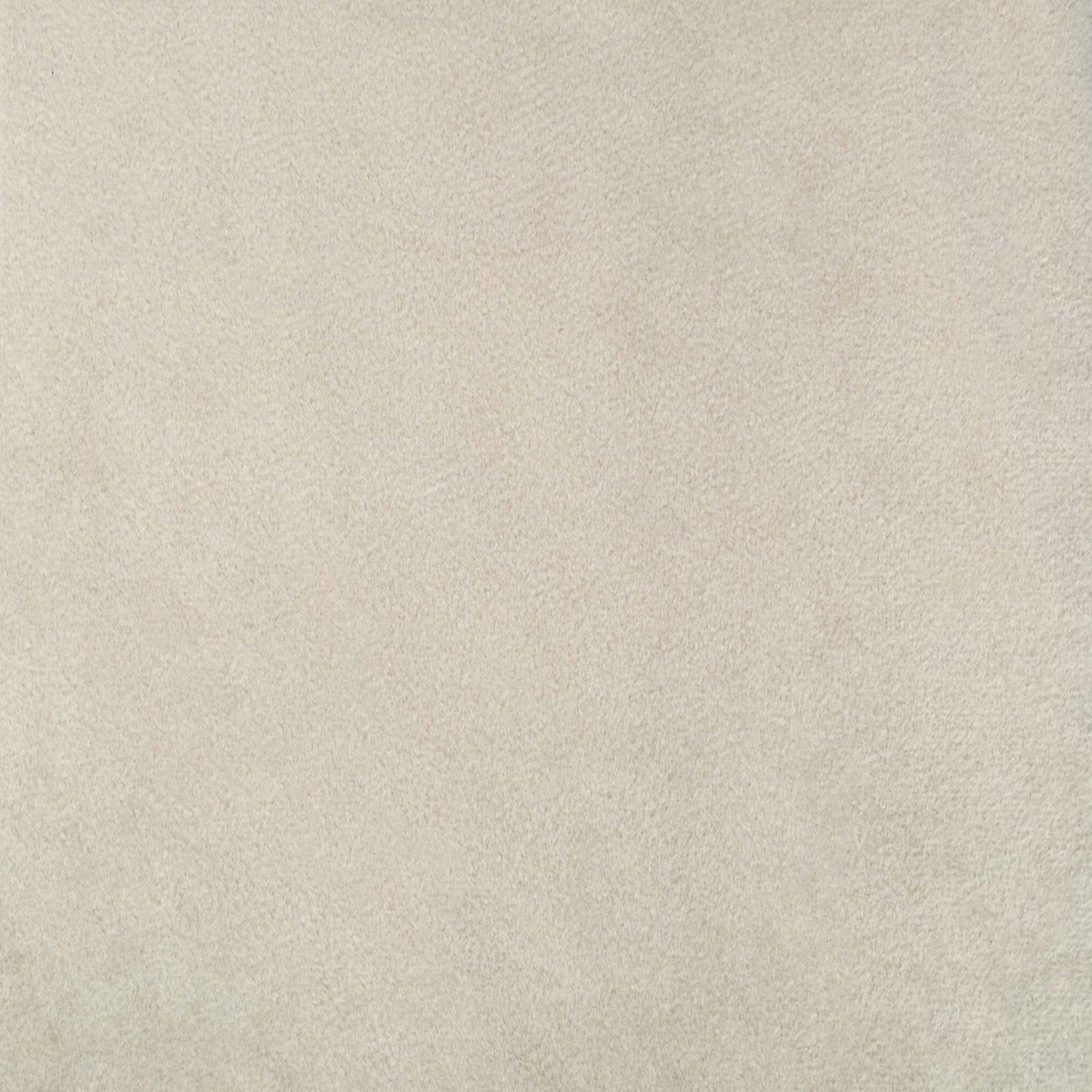 Verduisterende gordijnen 2 pcs Crème 140 x 245 cm Fluweel is nu te koop bij PeponiXL, paradijselijk wonen!