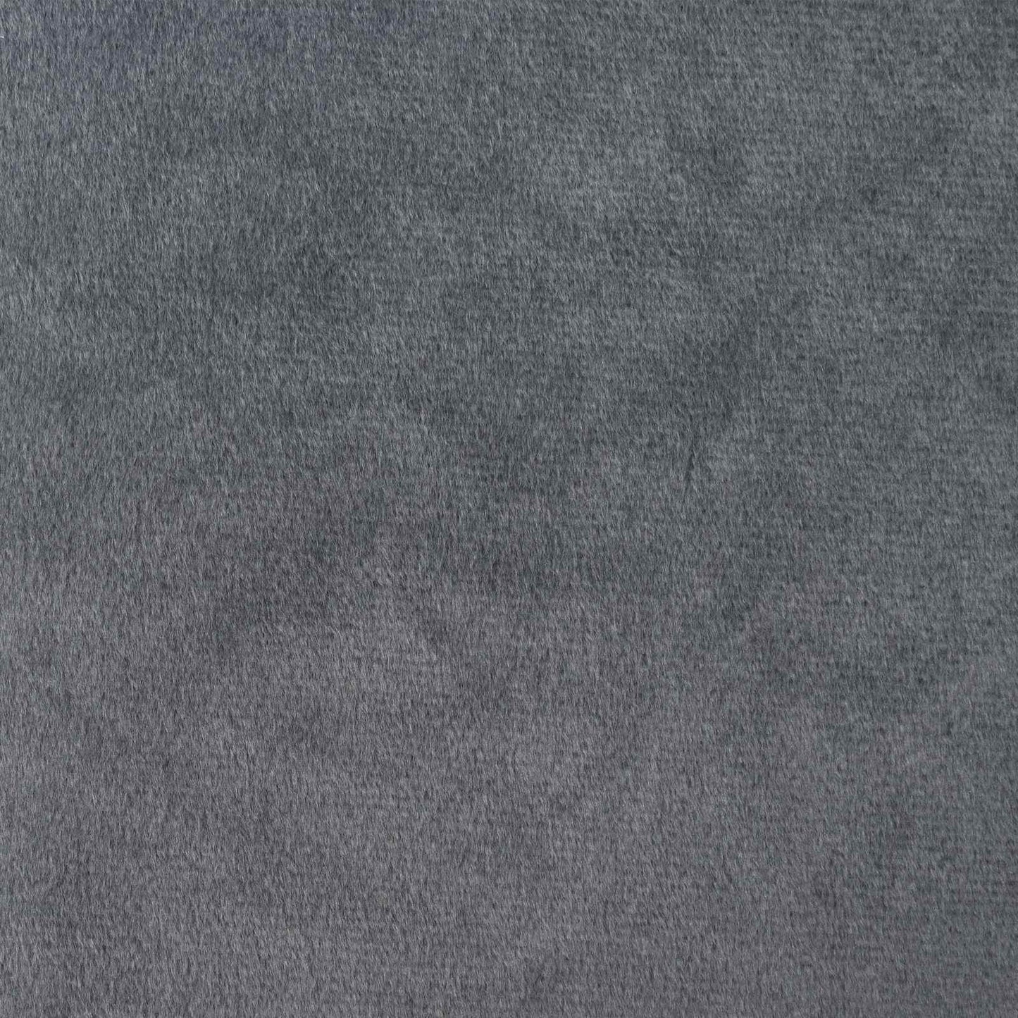 Verduisterende gordijnen 2 pcs Lichtgrijs 140 x 140 cm Fluweel is nu te koop bij PeponiXL, paradijselijk wonen!