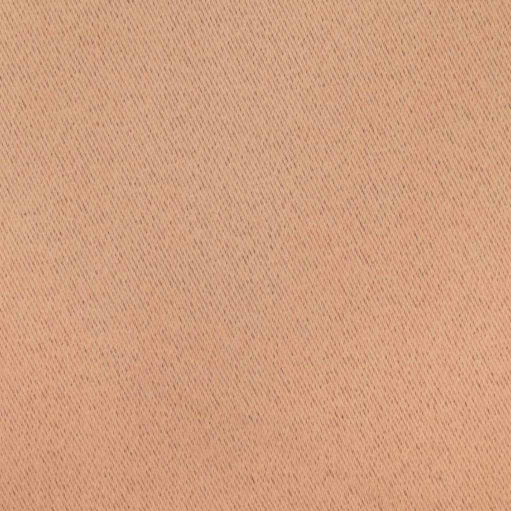Zwart-out Gordijnen met Ringen 2 pcs Licht Bruin 260 x 140 cm is nu te koop bij PeponiXL, paradijselijk wonen!