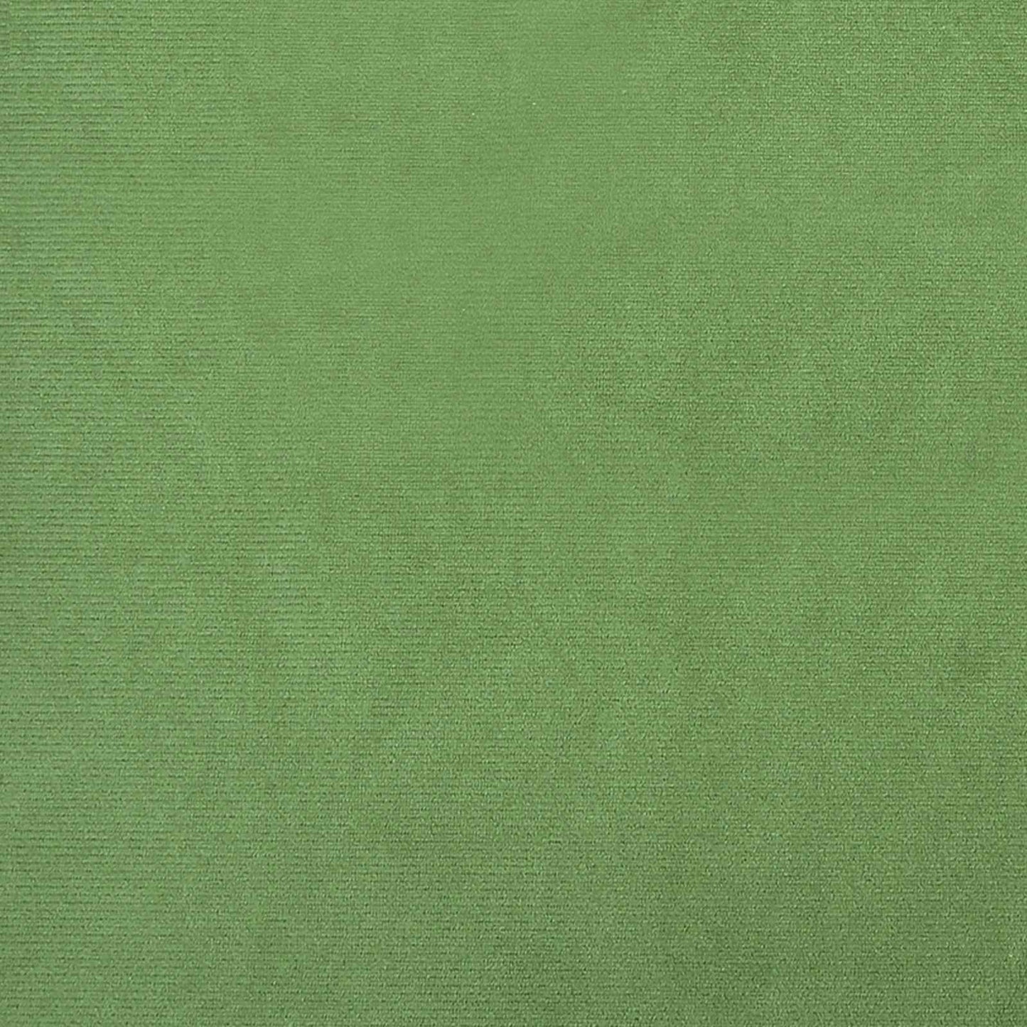 Bankstel met kussen 2 pcs Lichtgroen Polyester is nu te koop bij PeponiXL, paradijselijk wonen!