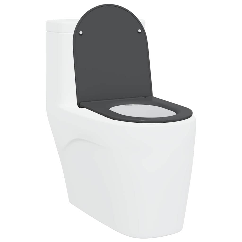Toiletzitting Antraciet 47 x 36 x 3,4 cm Duroplast is nu te koop bij PeponiXL, paradijselijk wonen!