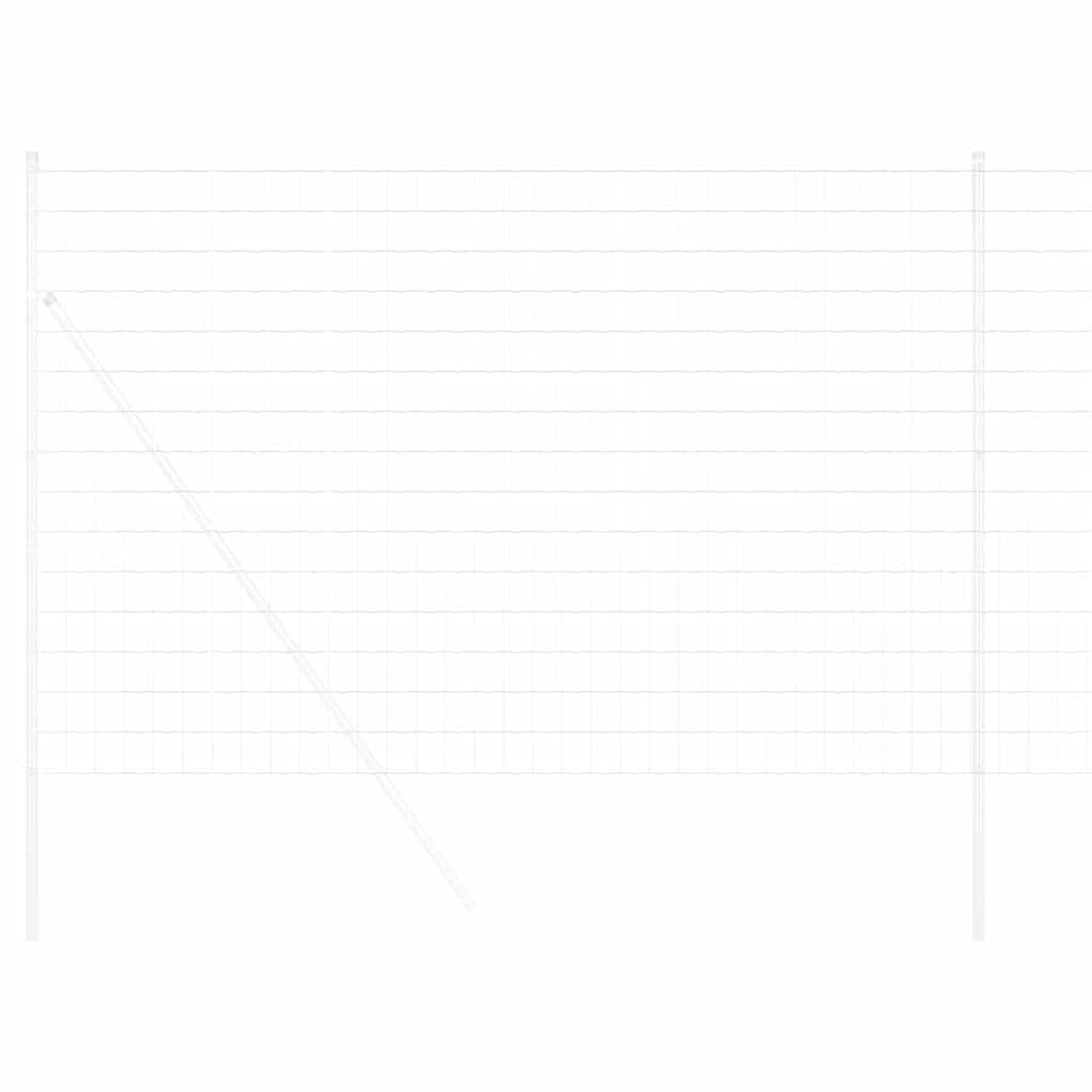 Euro Hek 1,6 x 10 m PVC-gecoat ijzer is nu te koop bij PeponiXL, paradijselijk wonen!