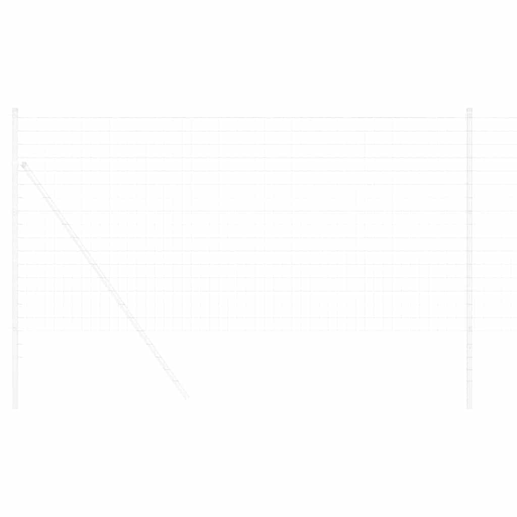 Euro Hek 1 x 25 m PVC-gecoat ijzer is nu te koop bij PeponiXL, paradijselijk wonen!