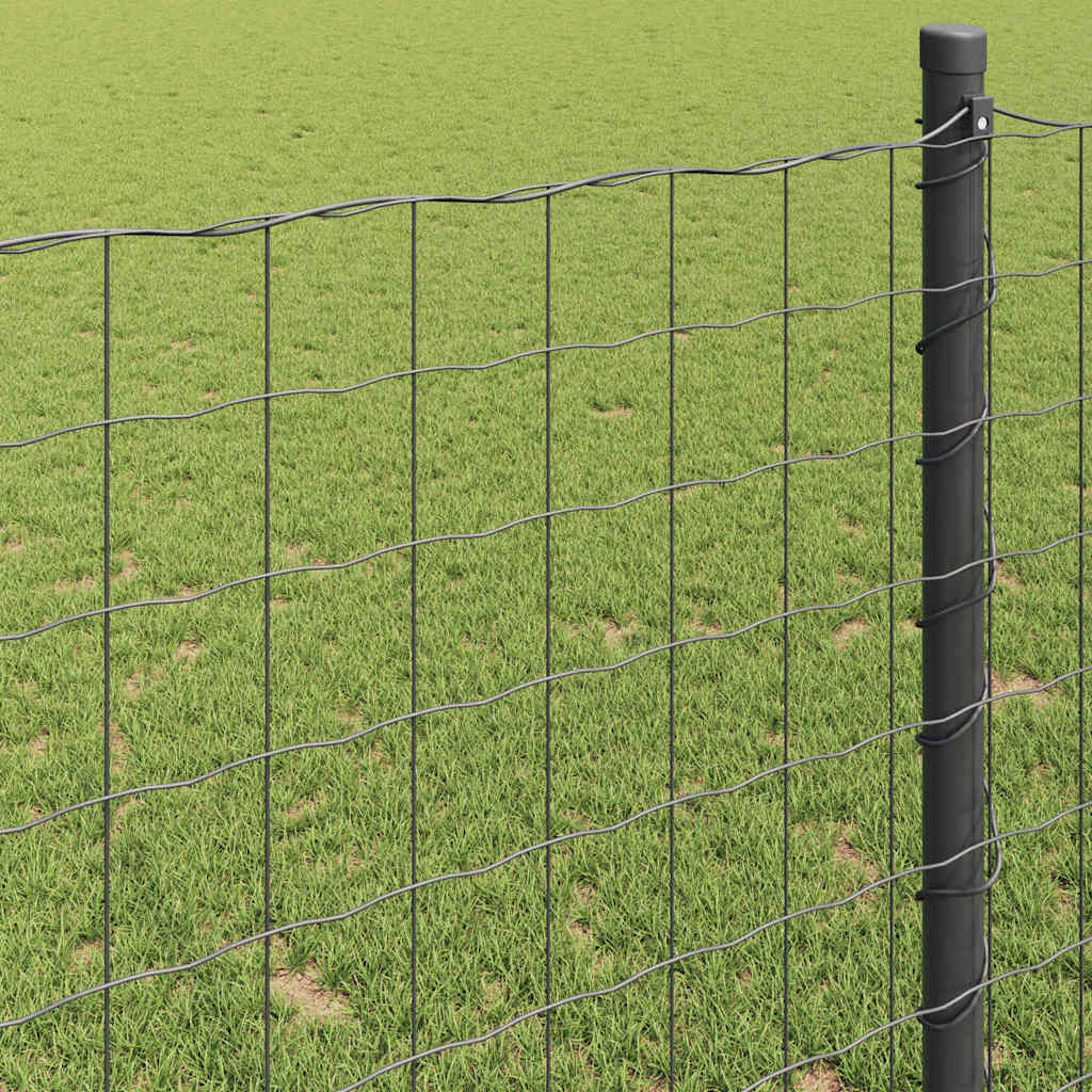 Euro Hek Zwart 1,6 x 10 m PVC-gecoat ijzer is nu te koop bij PeponiXL, paradijselijk wonen!