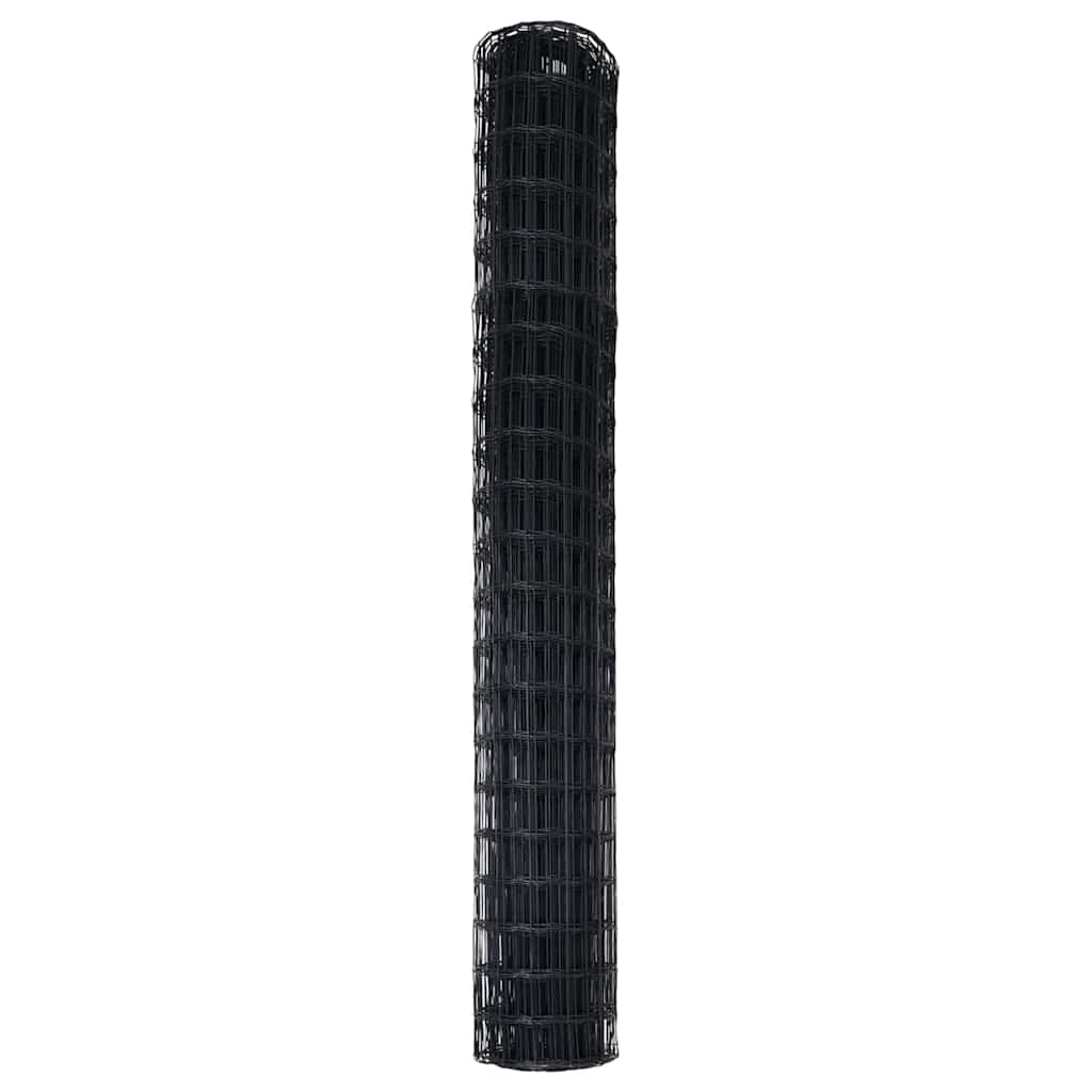 Euro Hek Zwart 1,6 x 10 m PVC-gecoat ijzer is nu te koop bij PeponiXL, paradijselijk wonen!